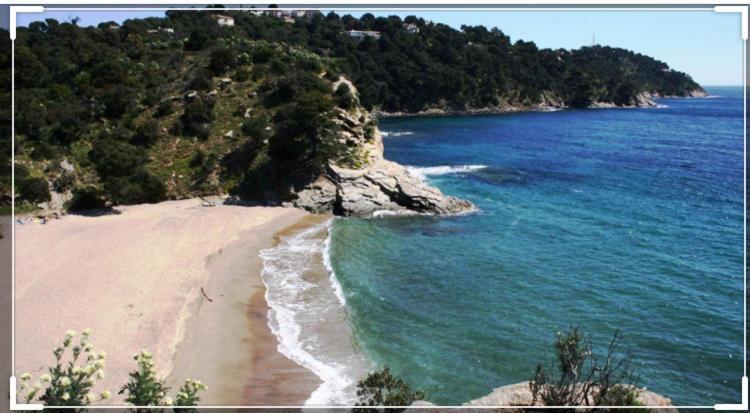 CAVALAIRE vue MER au loin MAISONNETTE TOUT ÉQUIPÉE POUR 4 PERSONNES AVEC PISCINE CLIM WIFI VÉLOS TV BARBECUES Esterno foto